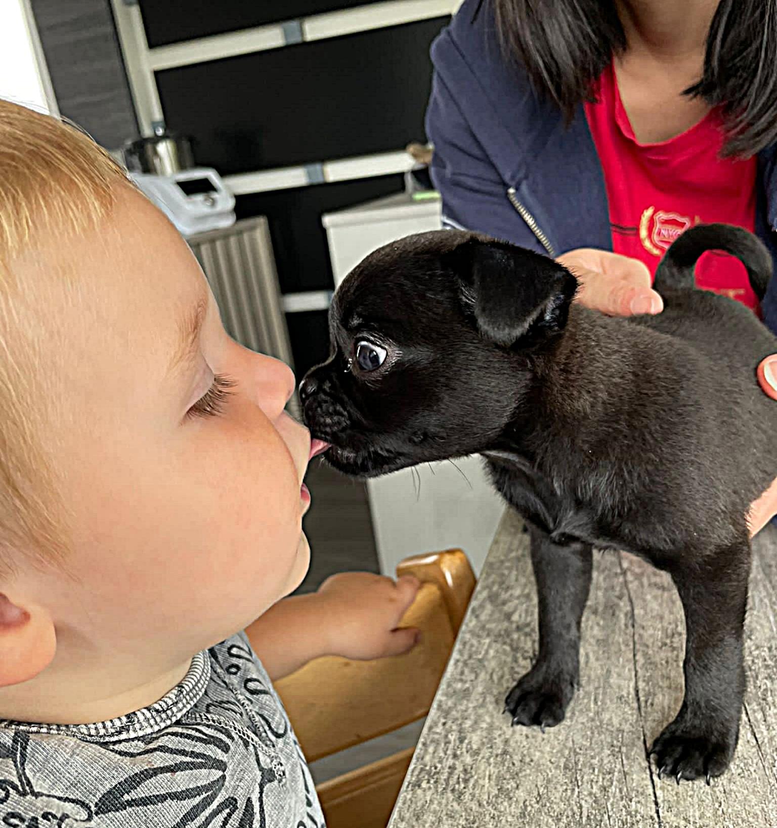 Retromops Coco - Lou Lou