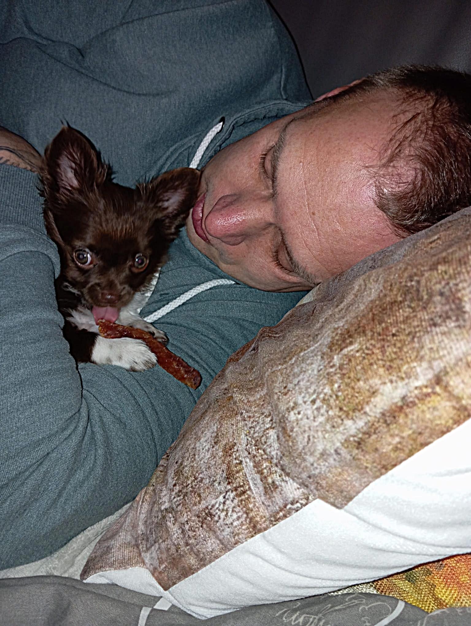 Chihuahua Jaxx