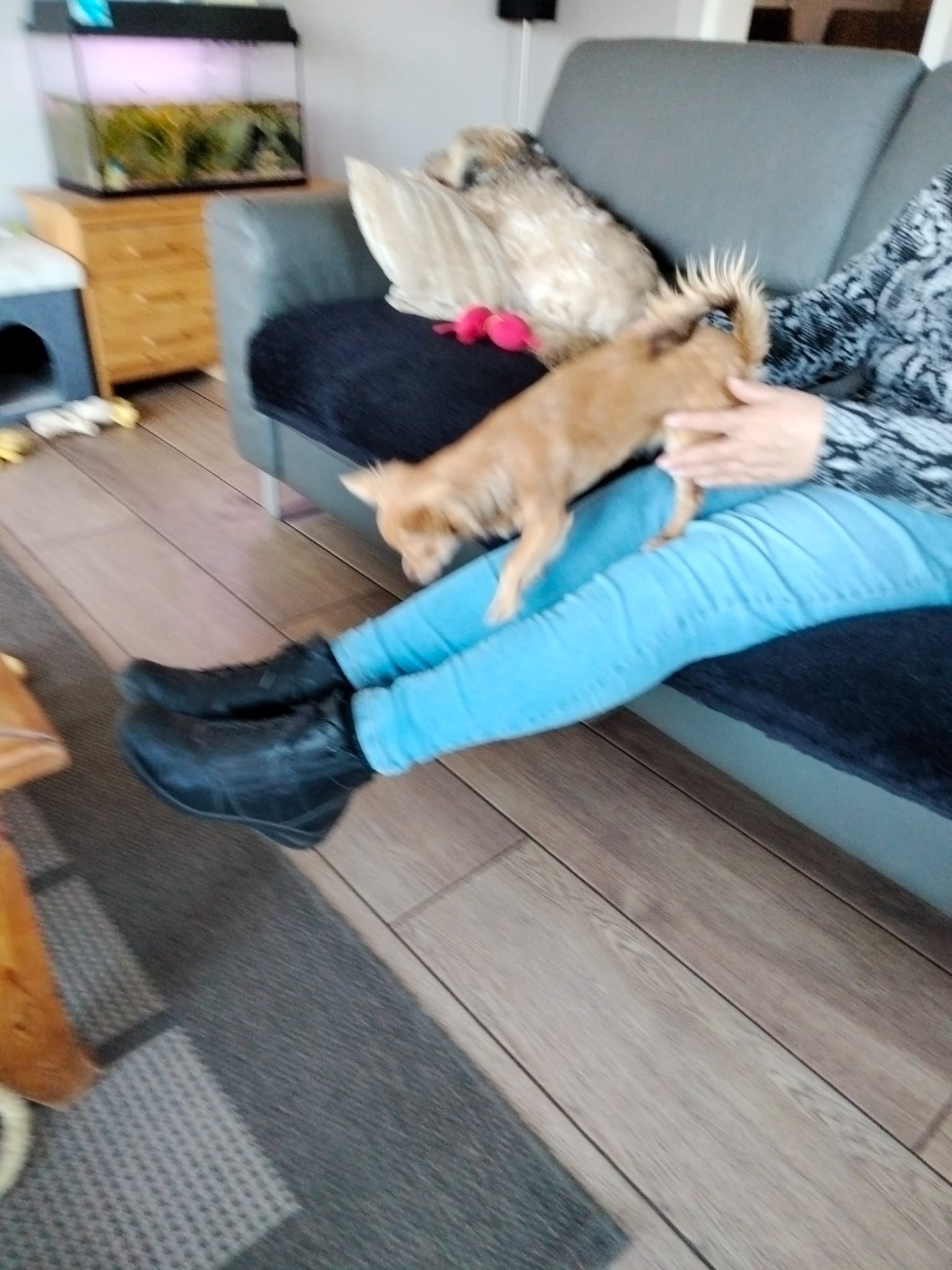 Ik durf nog niet van de bank te springen. Dus ga ik van de glijbaan.