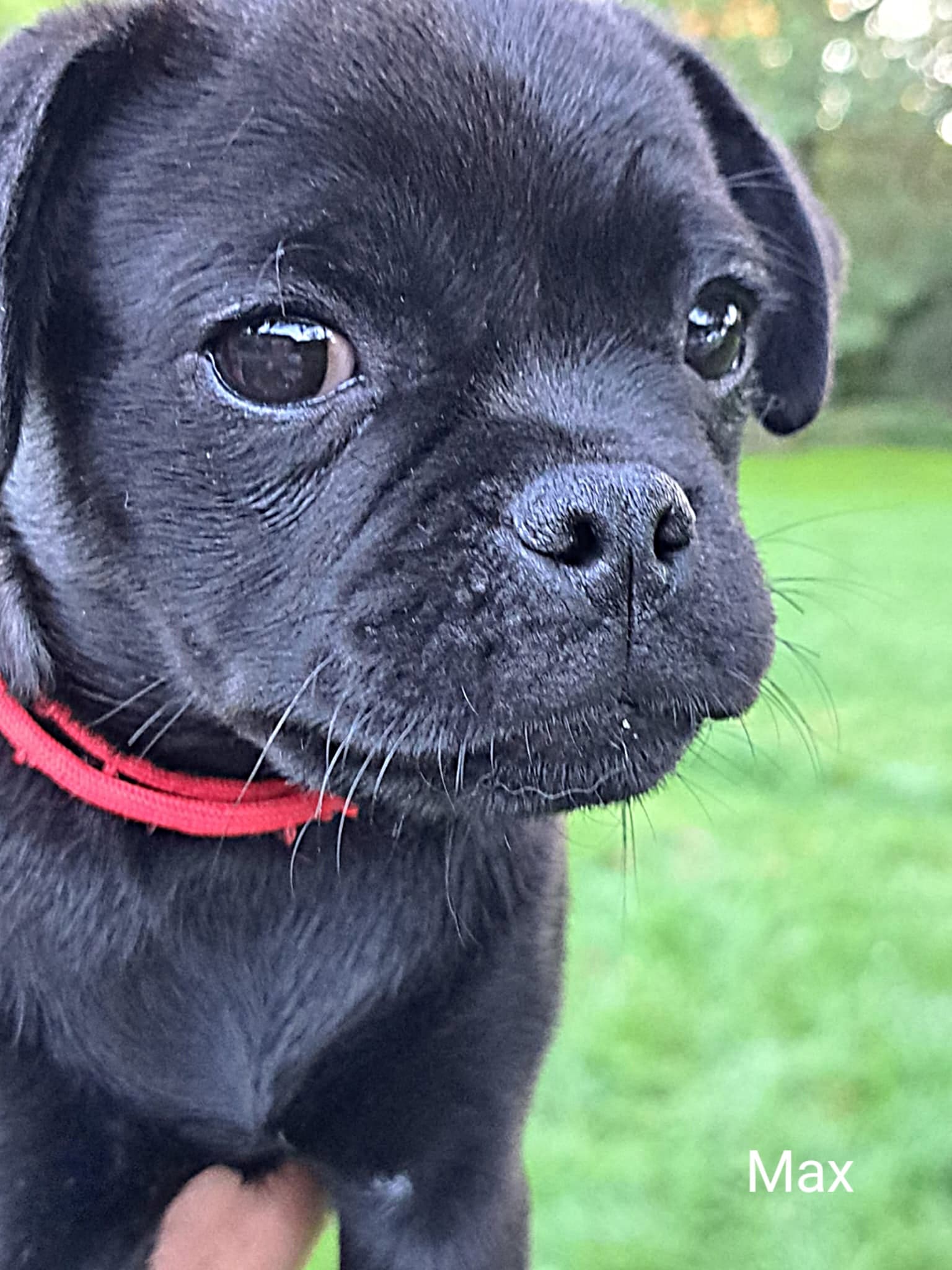 retromops