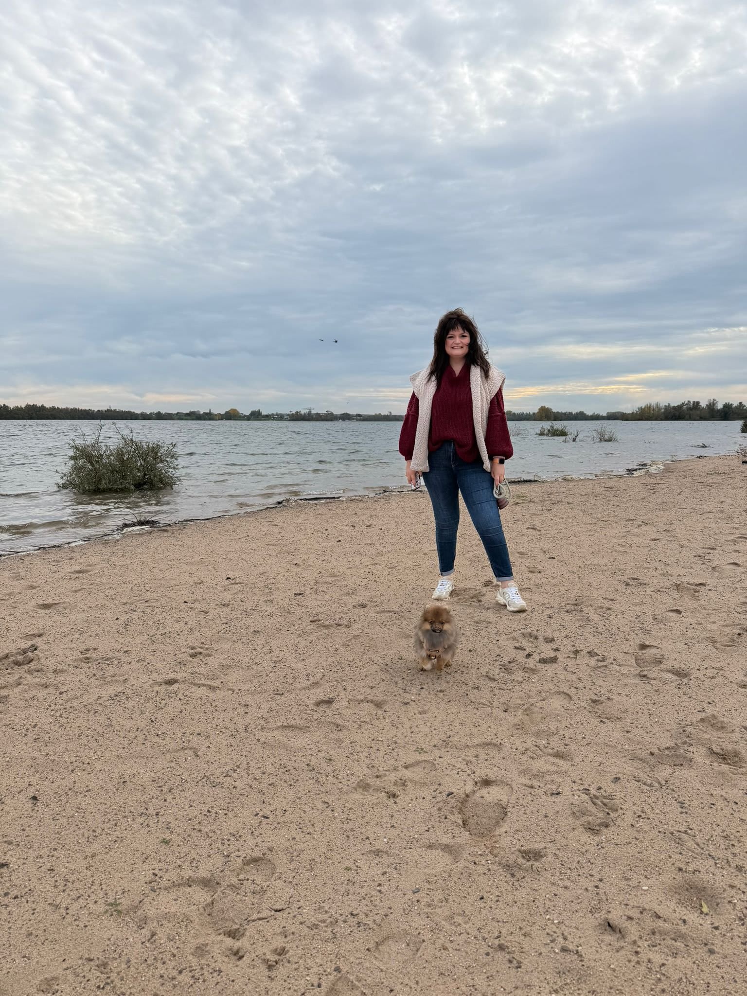 Pomeranian Lou ( Arnie )