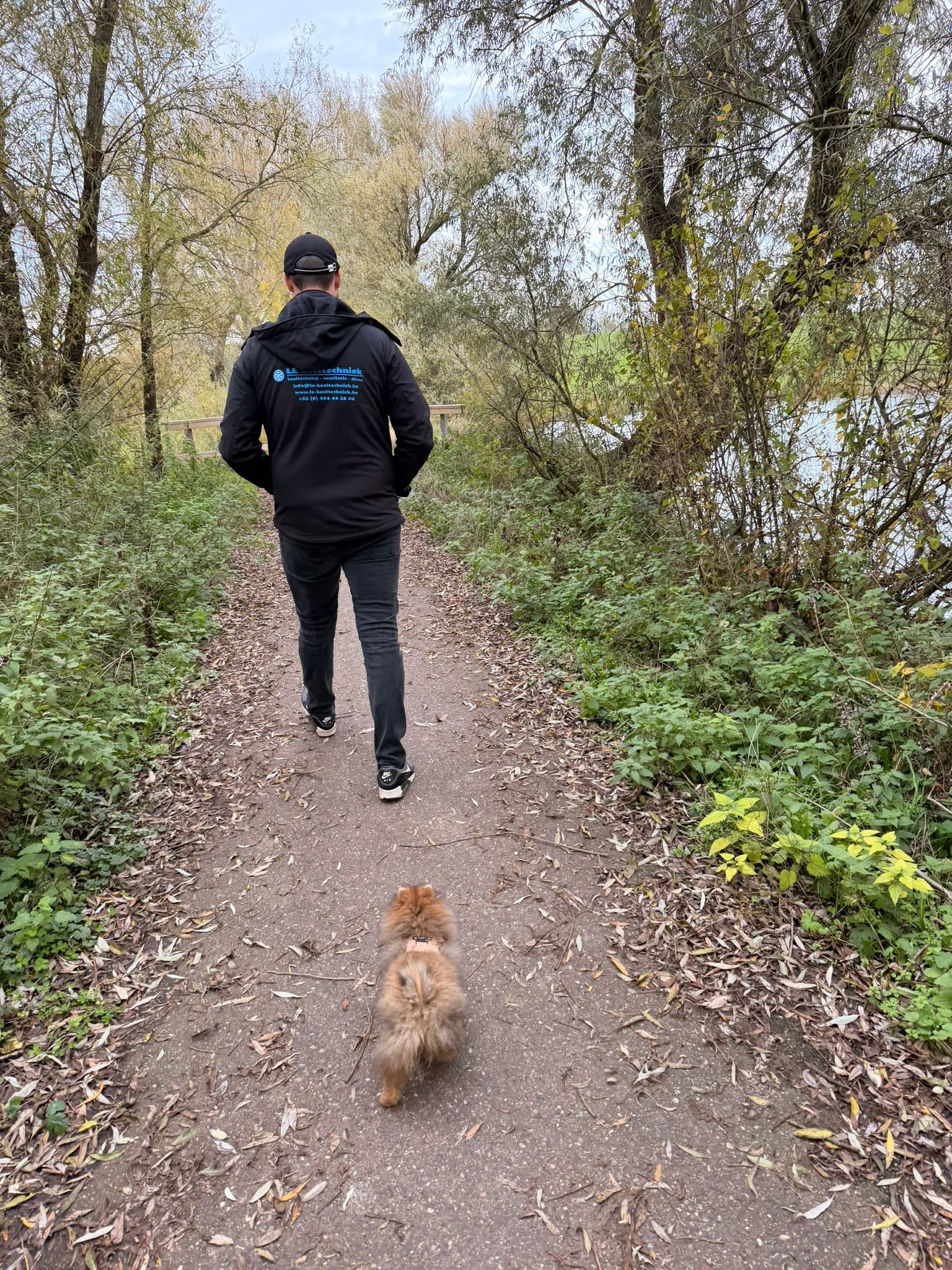 Pomeranian Lou ( Arnie )