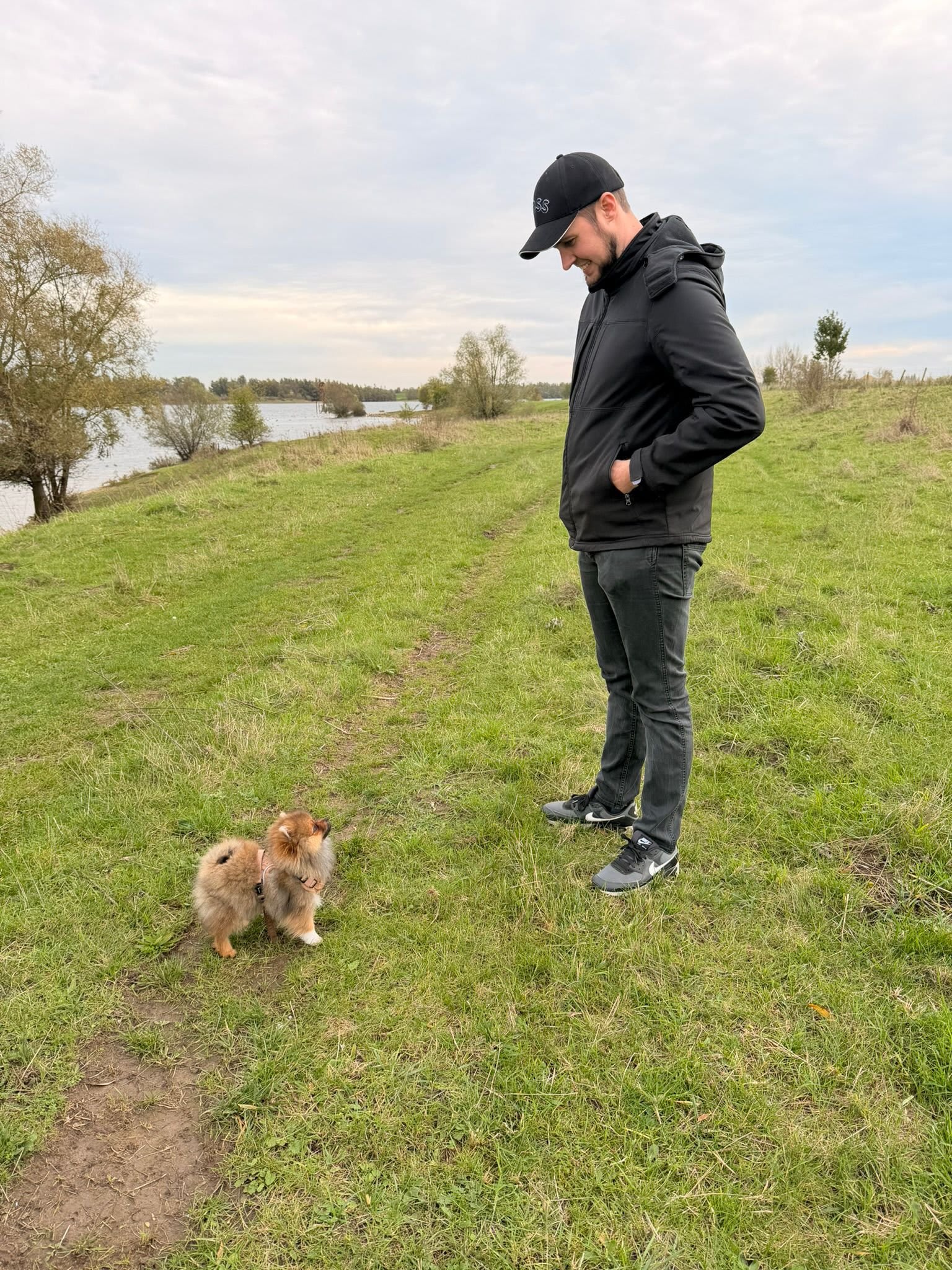 Pomeranian Lou ( Arnie )