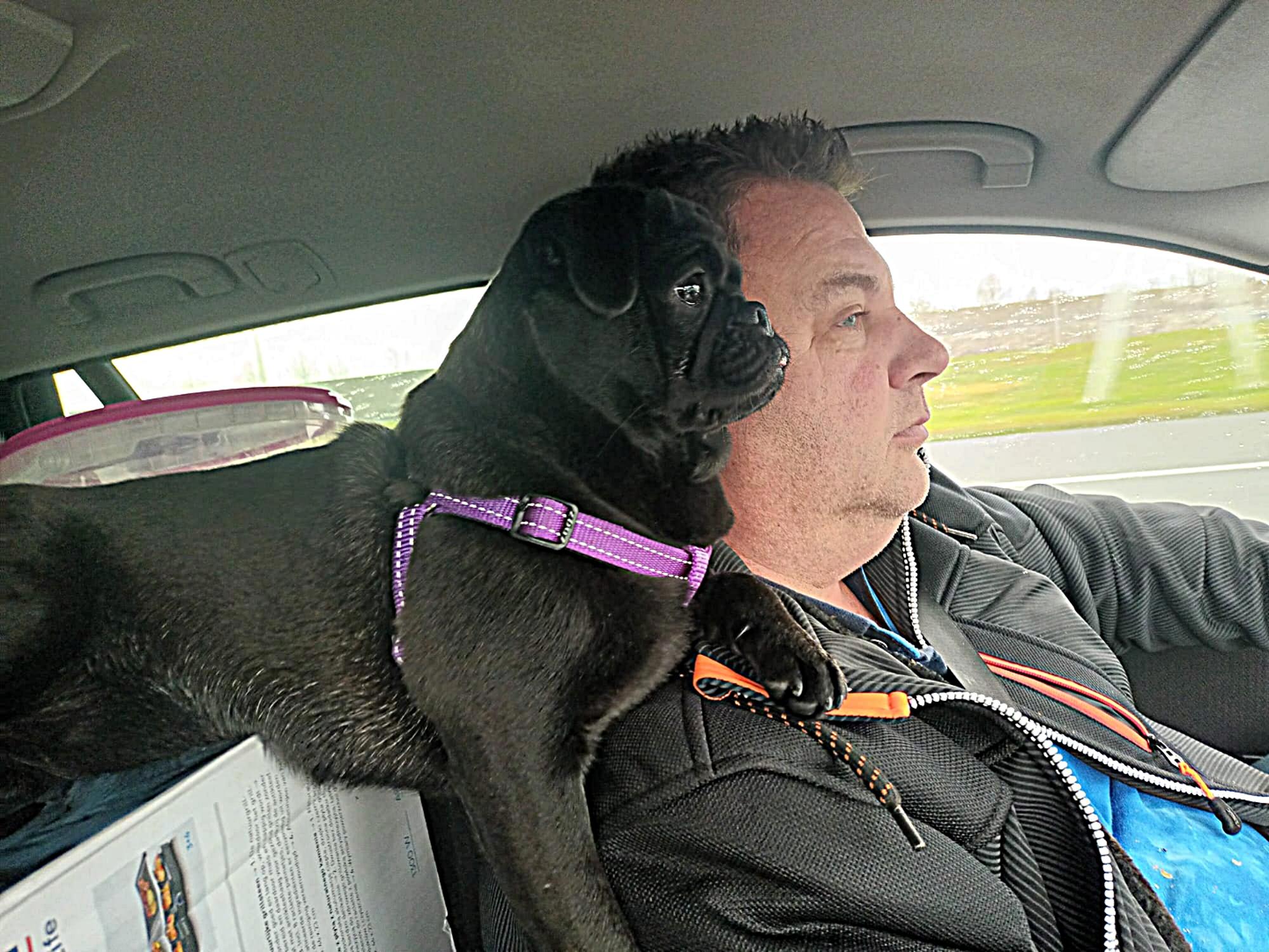 Amy - Indy Retromops