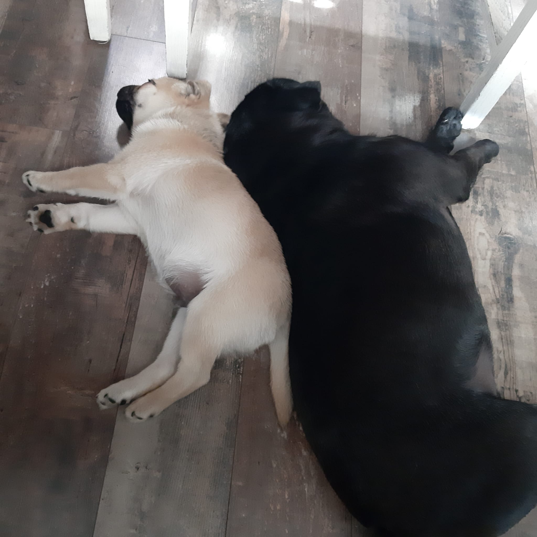 Retromops Joep Lekker rug aan rug met mijn broertje. Slaapt heerlijk zo.