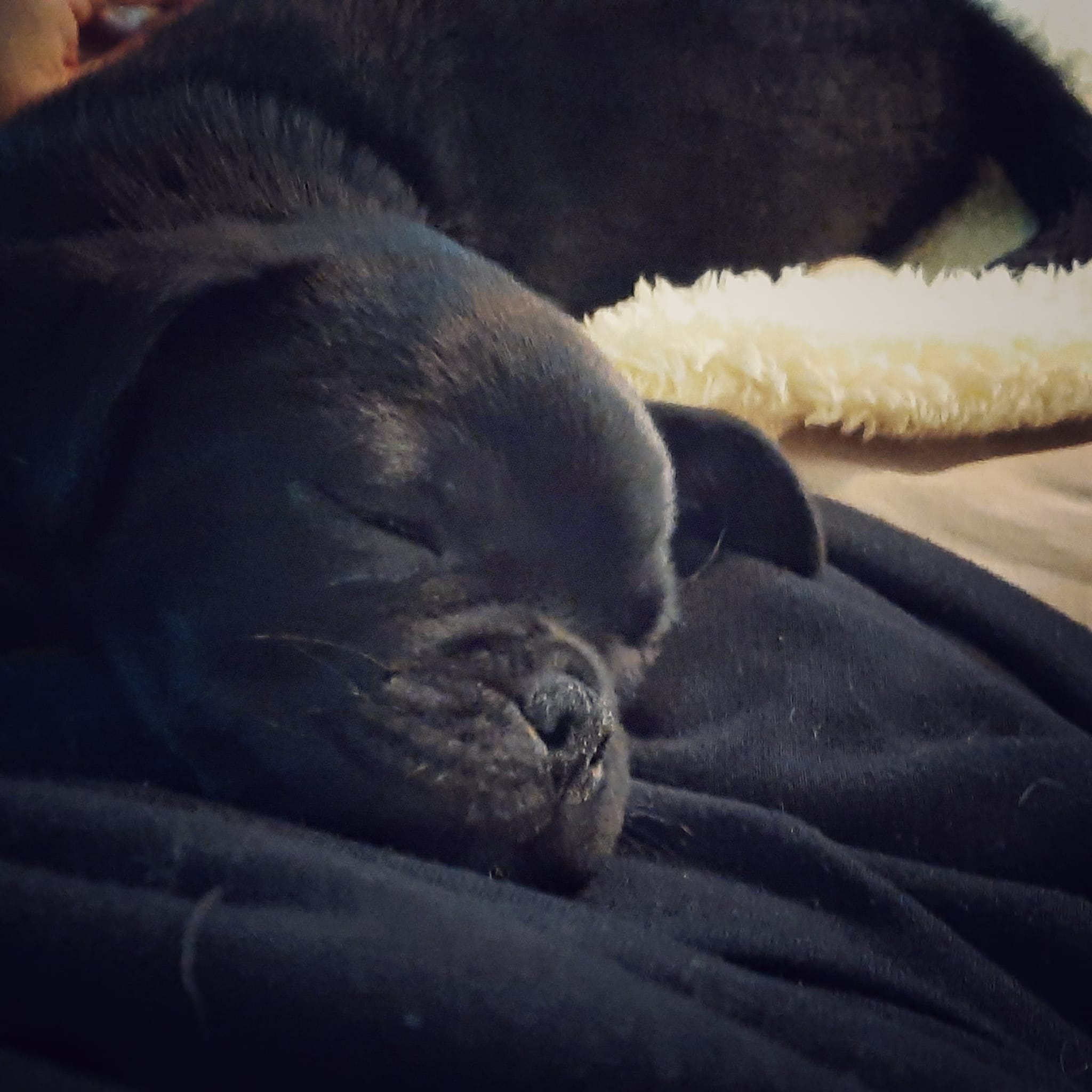 Nou ben ik heerlijk in dromenland.