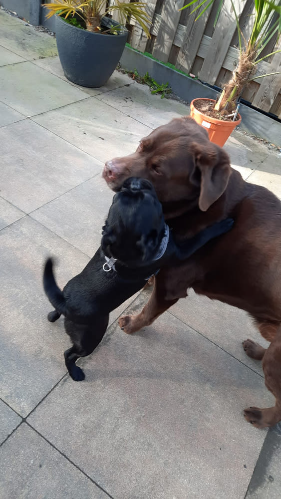 Met mijn nieuwe vriend aan het stoeien