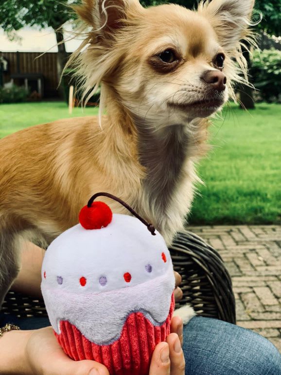 Mijn nieuwe speeltje