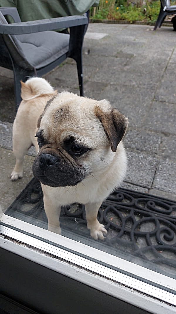 Retromops Joep