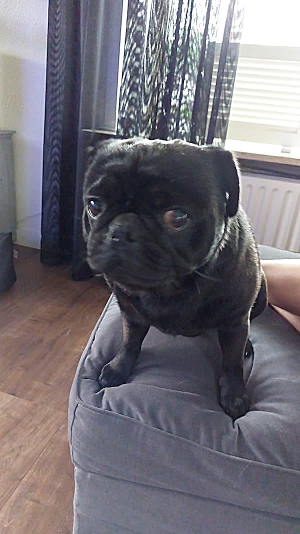 Noa Retromops 4 jaar