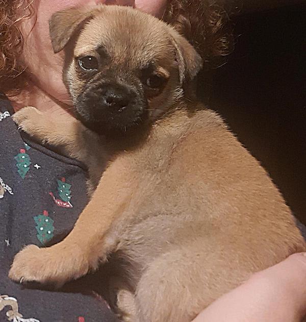 retromops