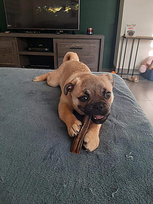 retromops