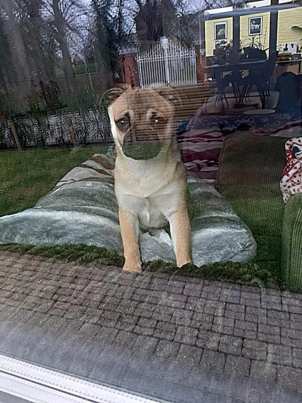 retromops