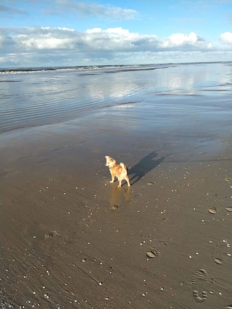 Wauw, wat een water!