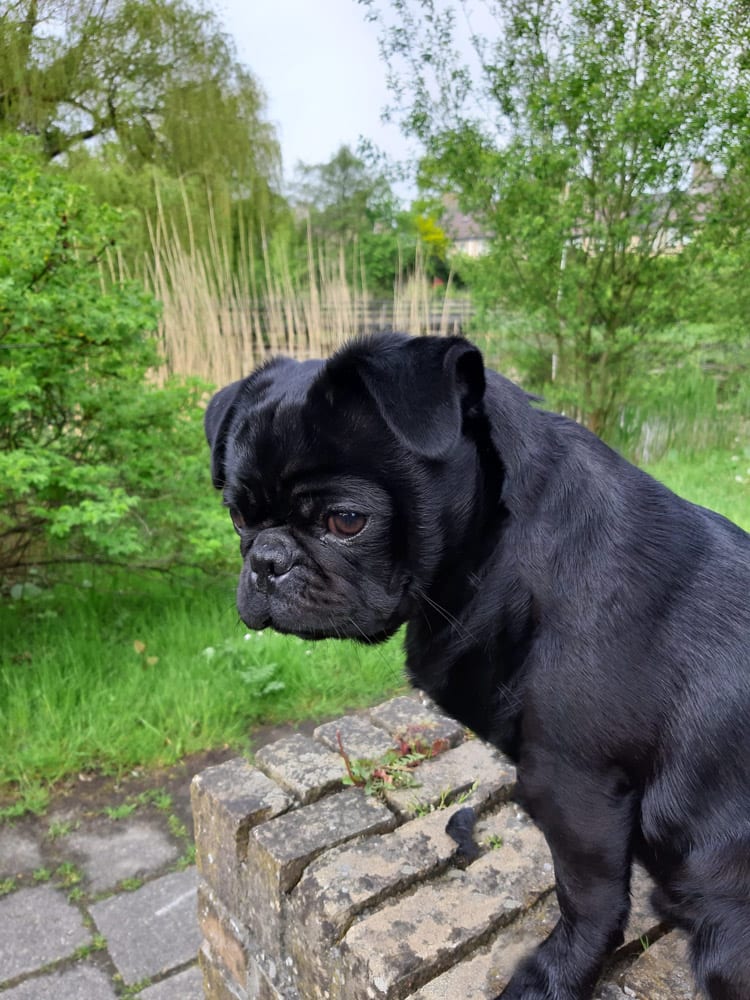 Noa Retromops Ik ben diep in gedachten