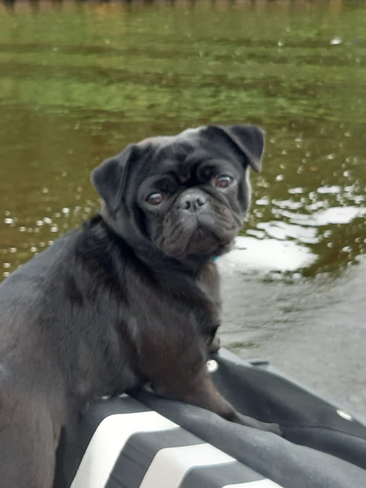 Noa Retromops Ja, ik pas goed op hoor