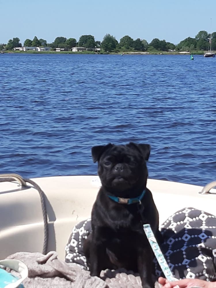 Noa Retromops Heerlijk we zijn weer naar het water gegaan