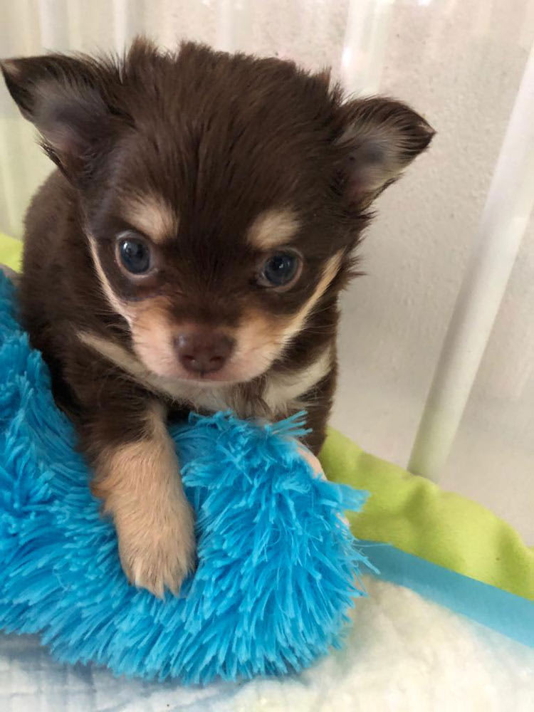 Mijn naam is Django, Stoer toch