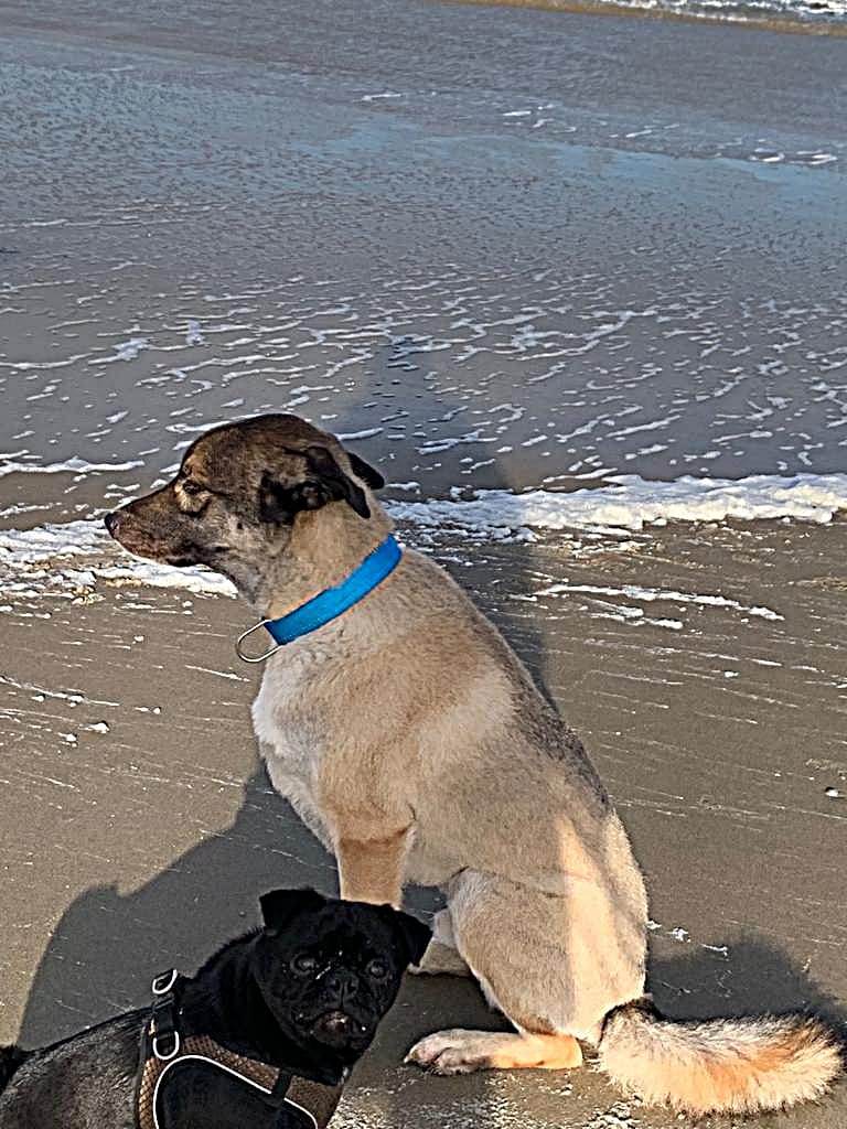 Samen met mijn vriend Sem genieten we van het strand.