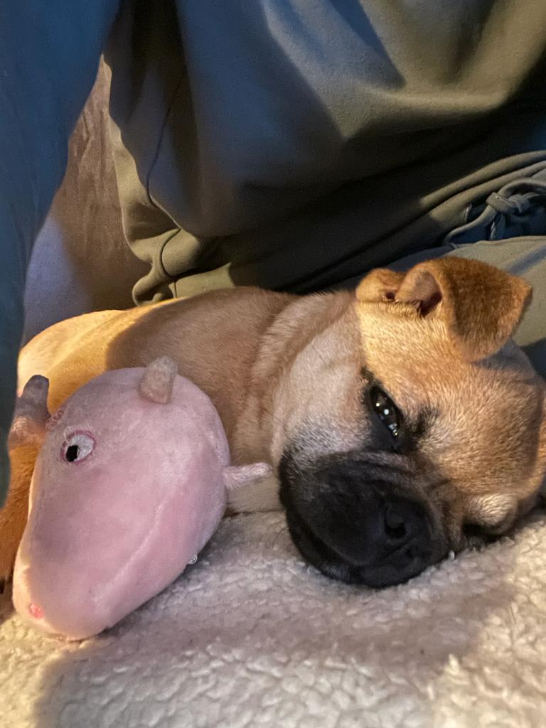 Nou lekker uitrusten op de bank met mijn knuffel.