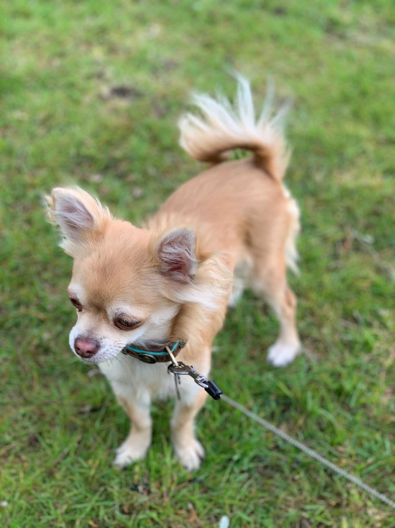 Lekker aan de wandel