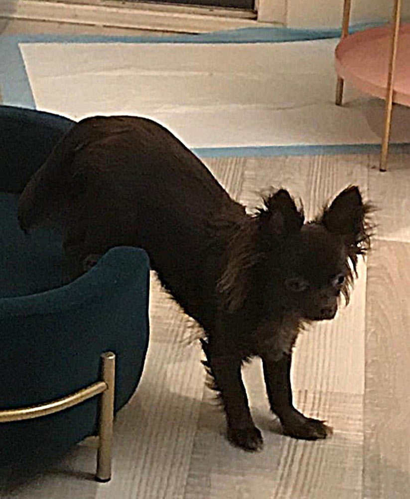 Ella is vandaag 1 jaar geworden, en wat is ze prachtig geworden