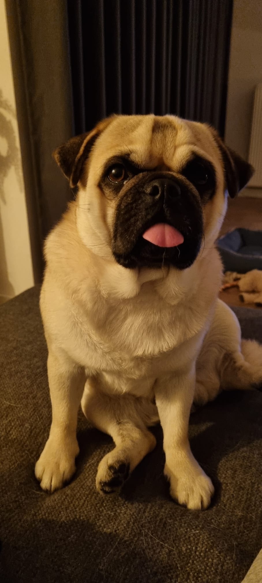 Kennen jullie mij nog