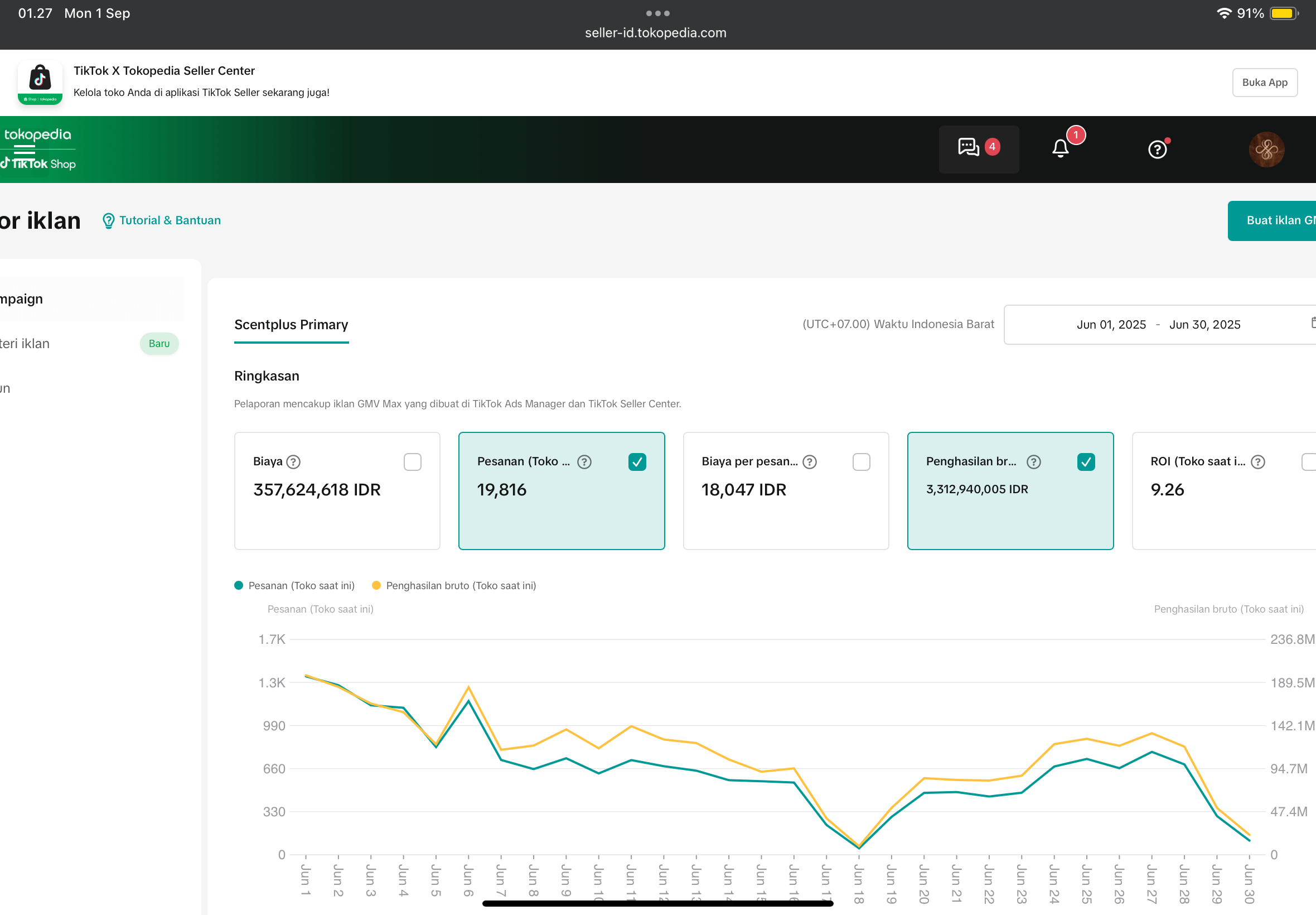 Portfolio TikTok Ads 1