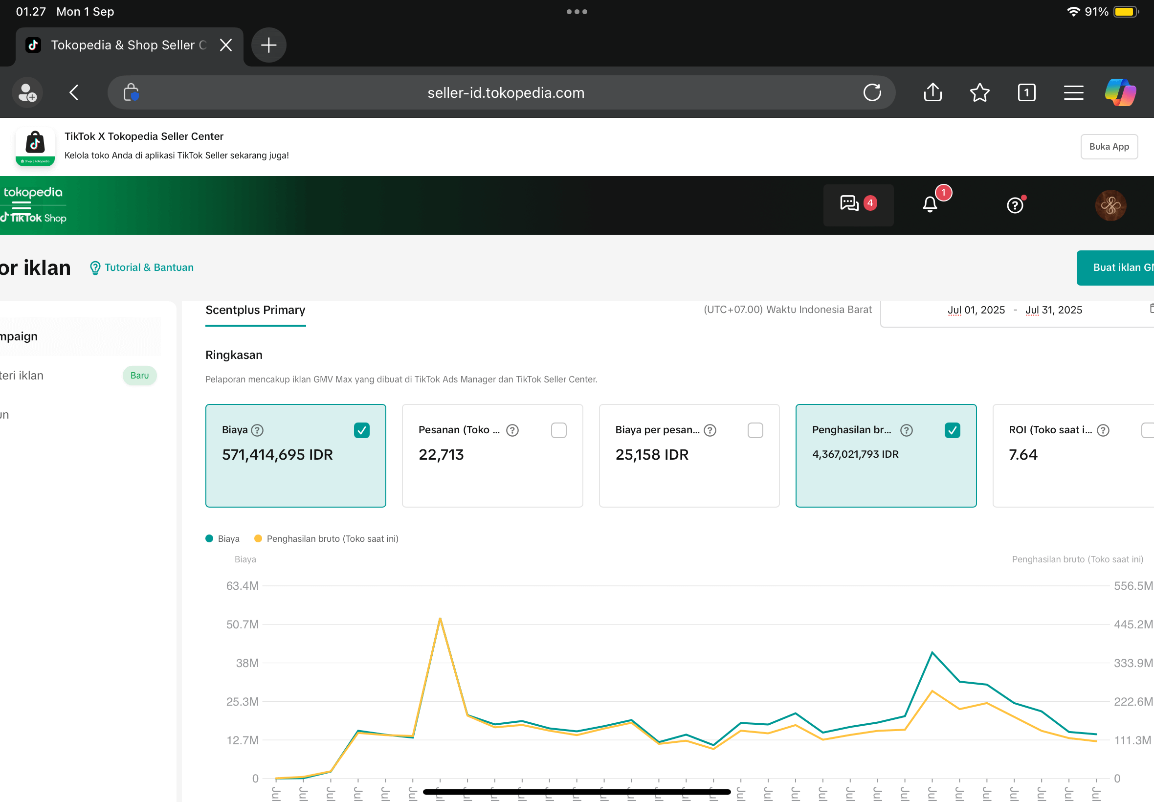 Portfolio TikTok Ads 2