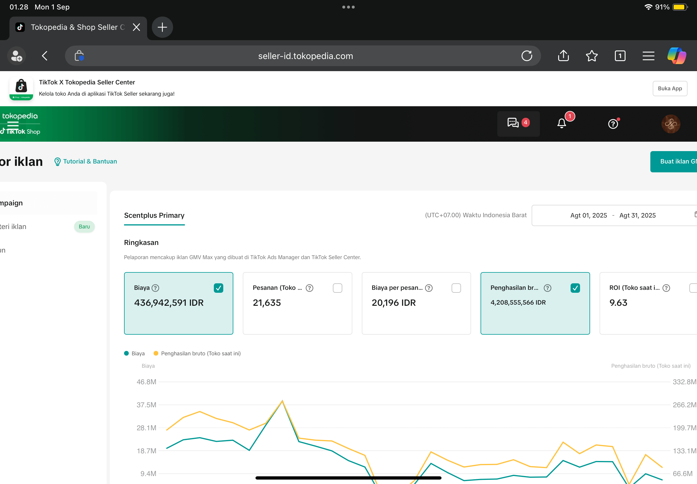 Portfolio TikTok Ads 3