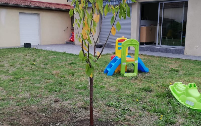 Photo 3 - Murs occupés - Crèche - Tarbes - Renta : 10%