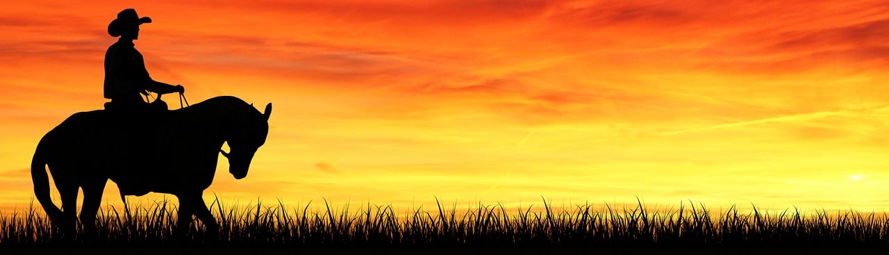 Hình ảnh minh họa