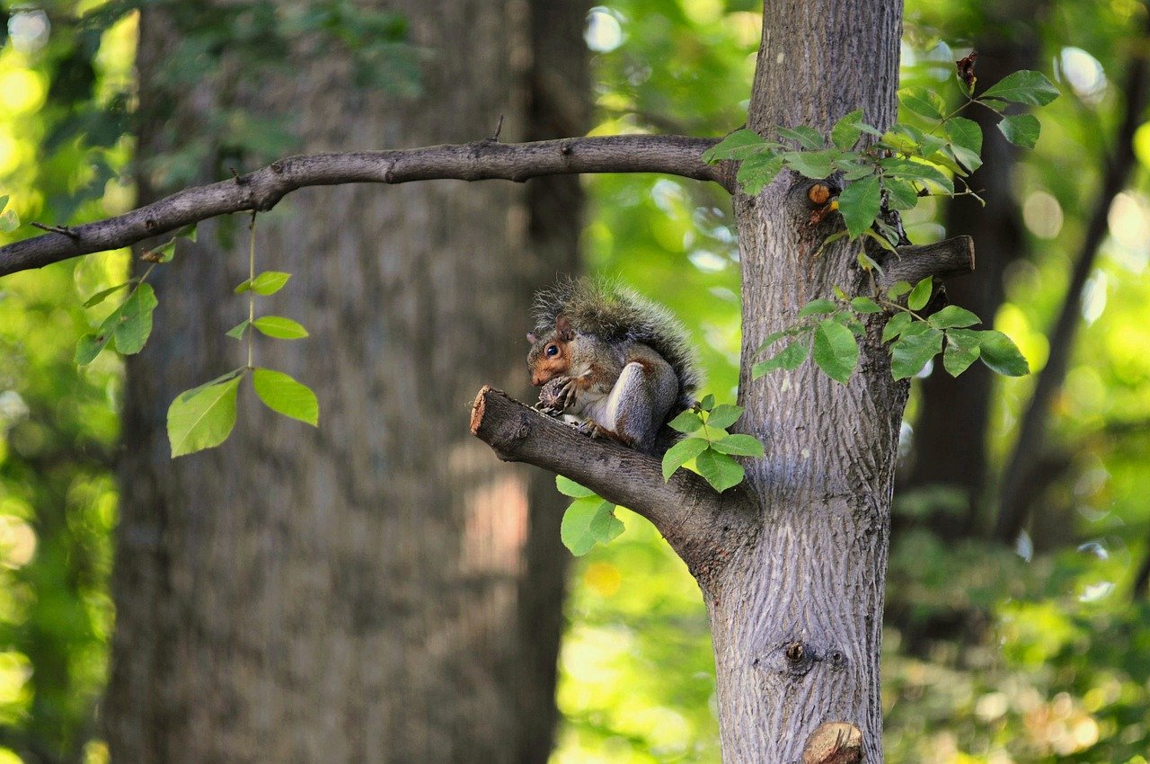 Y tế công và tư ở Phần Lan: Lựa chọn nào phù hợp với bạn? 42 Hình ảnh minh họa
