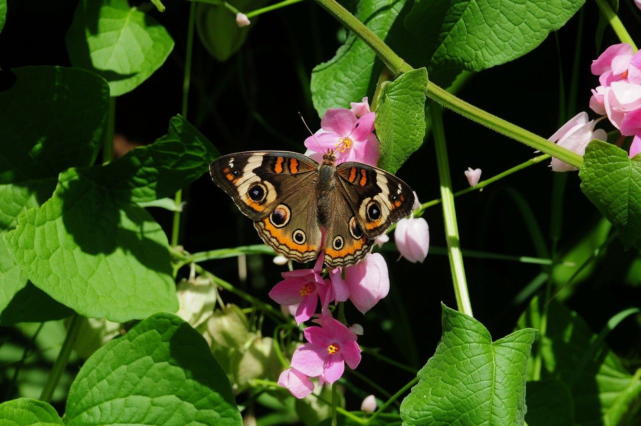 HOAS, Lumo, Sato, Facebook: Kênh tìm nhà ở du học Phần Lan hiệu quả 40 Hình ảnh minh họa