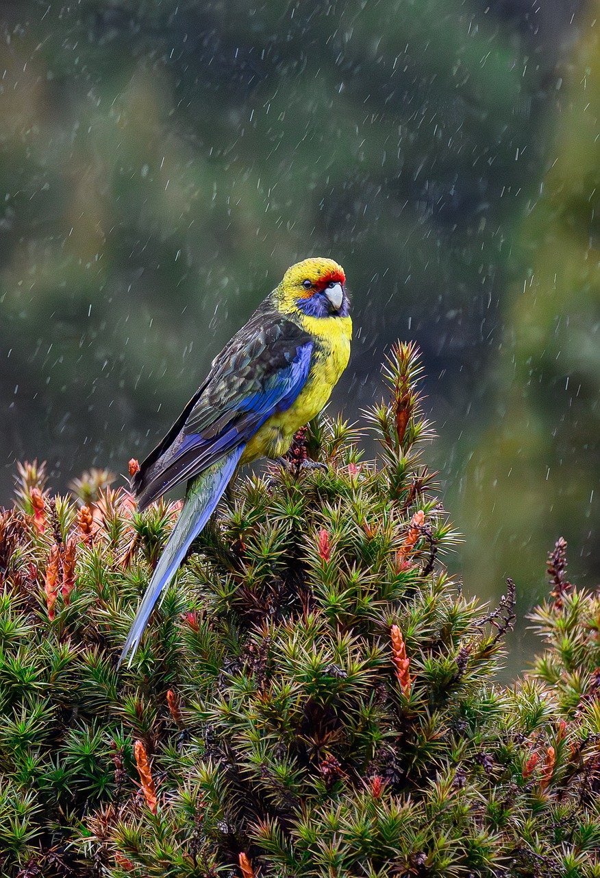 HOAS, Lumo, Sato, Facebook: Kênh tìm nhà ở du học Phần Lan hiệu quả 42 Hình ảnh minh họa