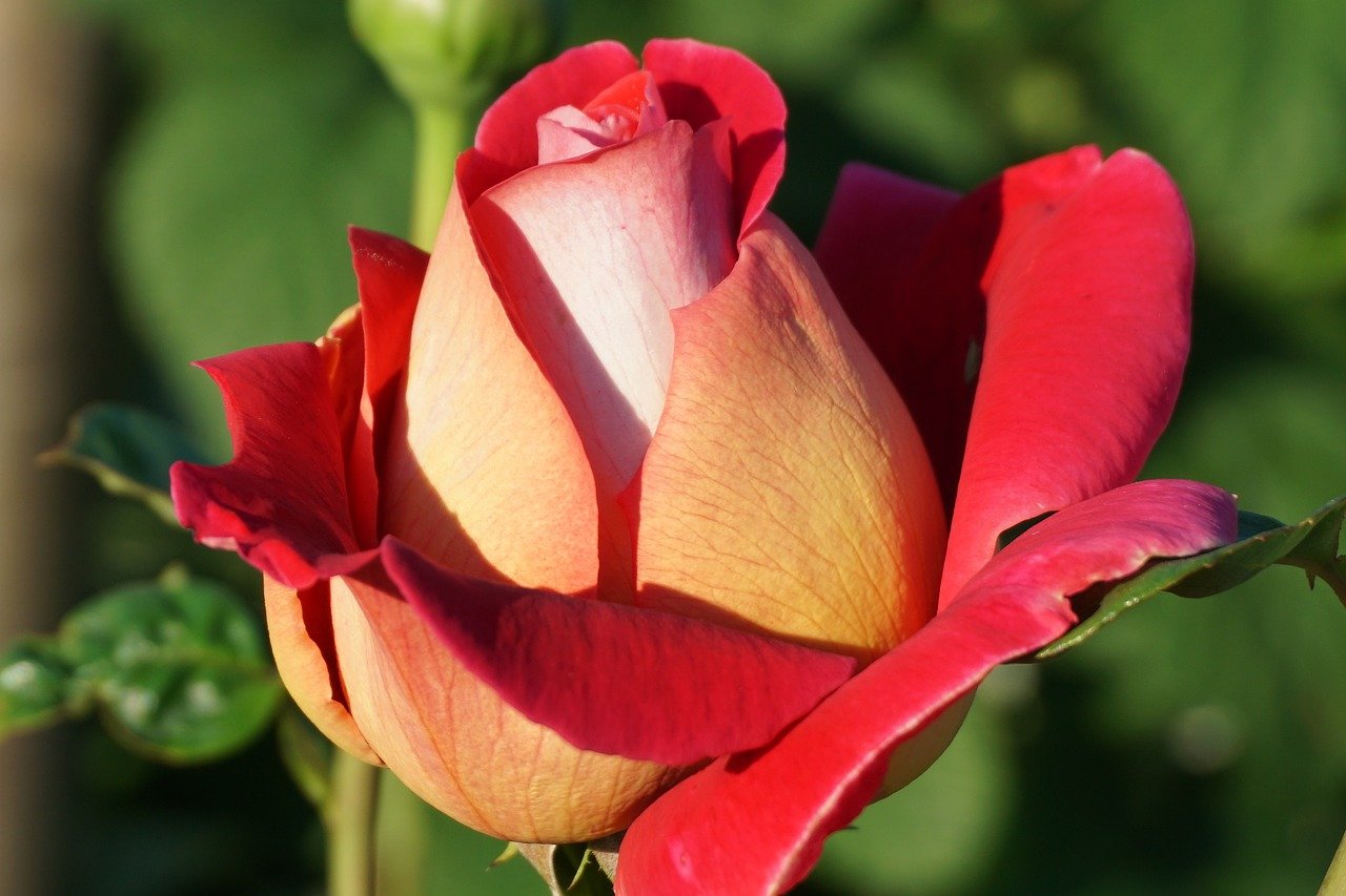 Nhà ở du học Phần Lan: Chọn loại phù hợp 41 Hình ảnh minh họa