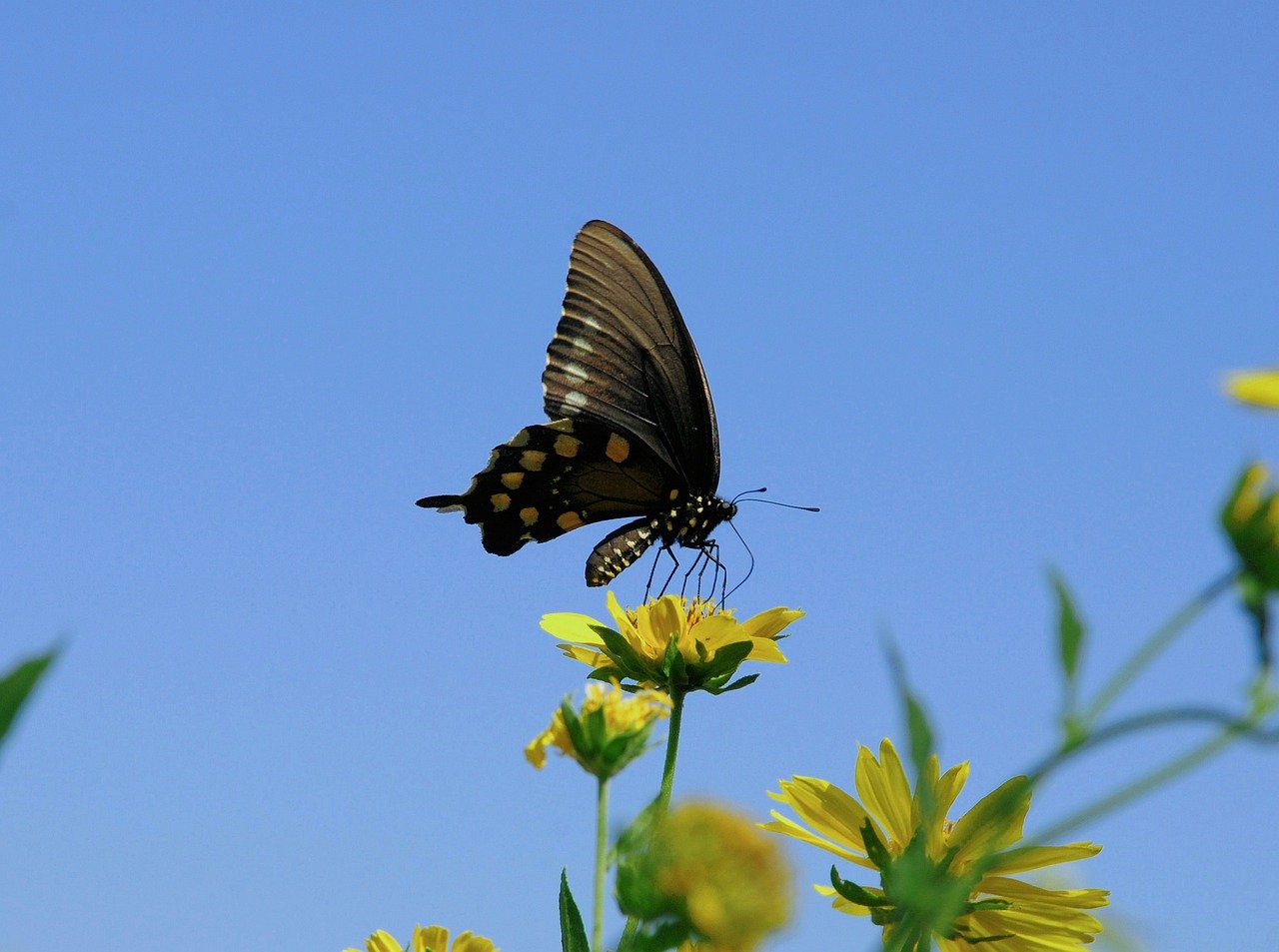 Hình ảnh minh họa