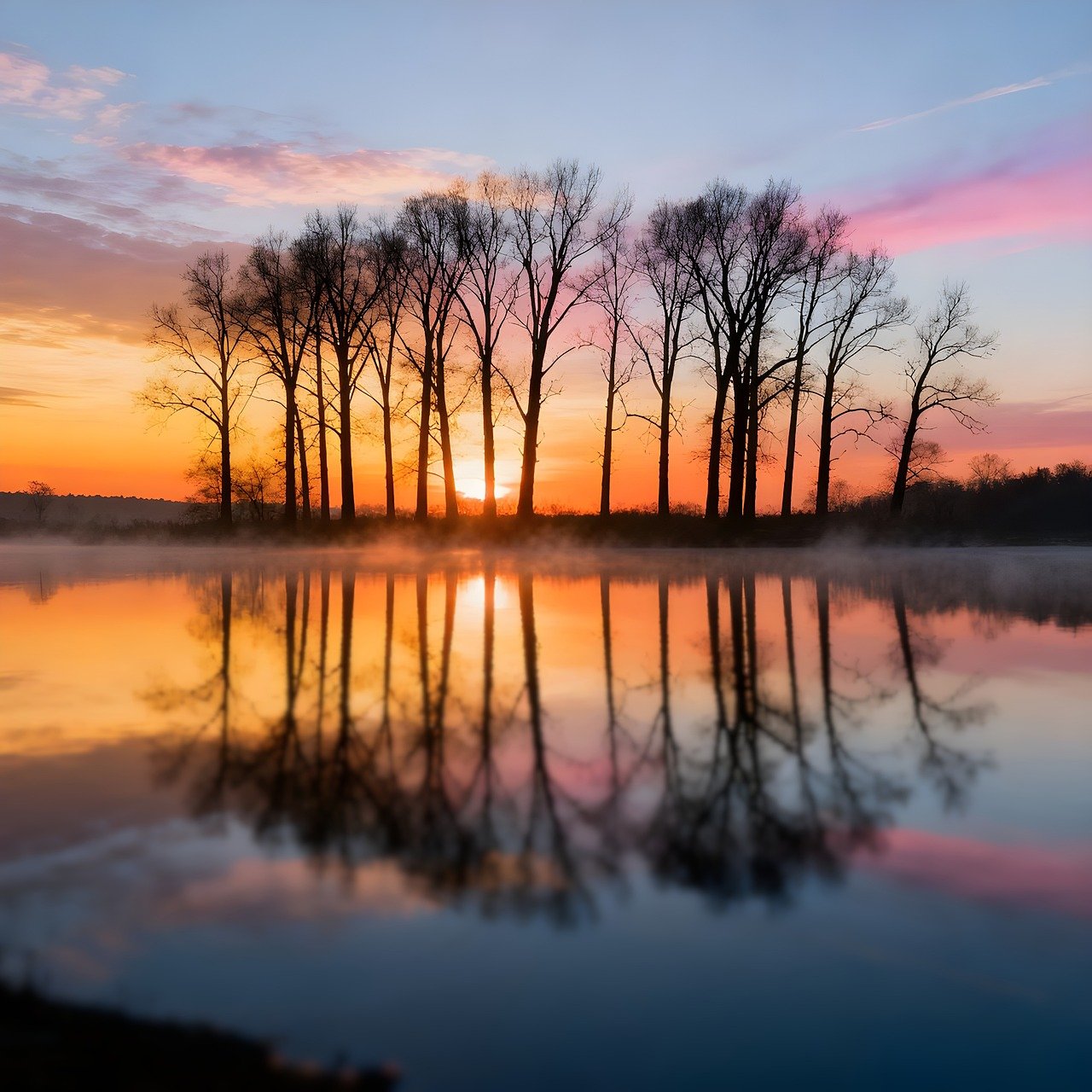 Hình ảnh minh họa