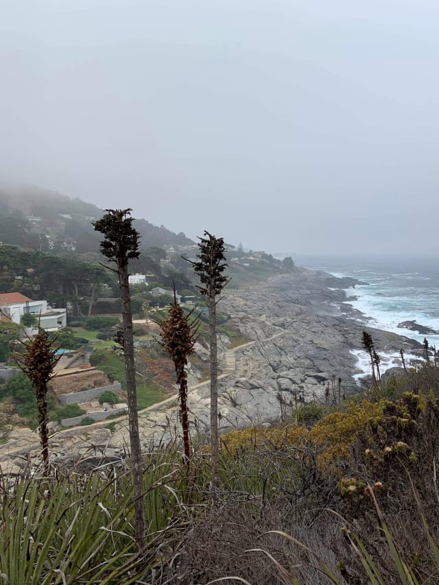 ocean view