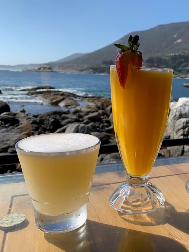 pisco sour