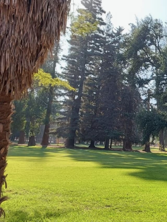santa rita