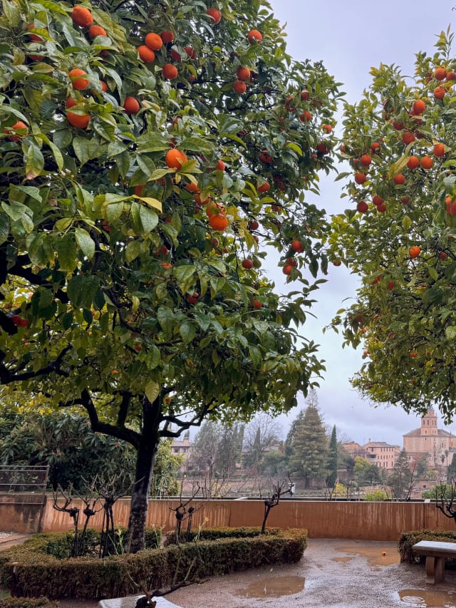 oranges alhambra