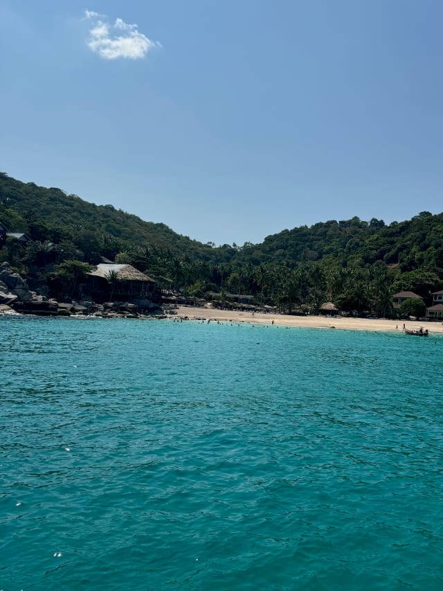 bay