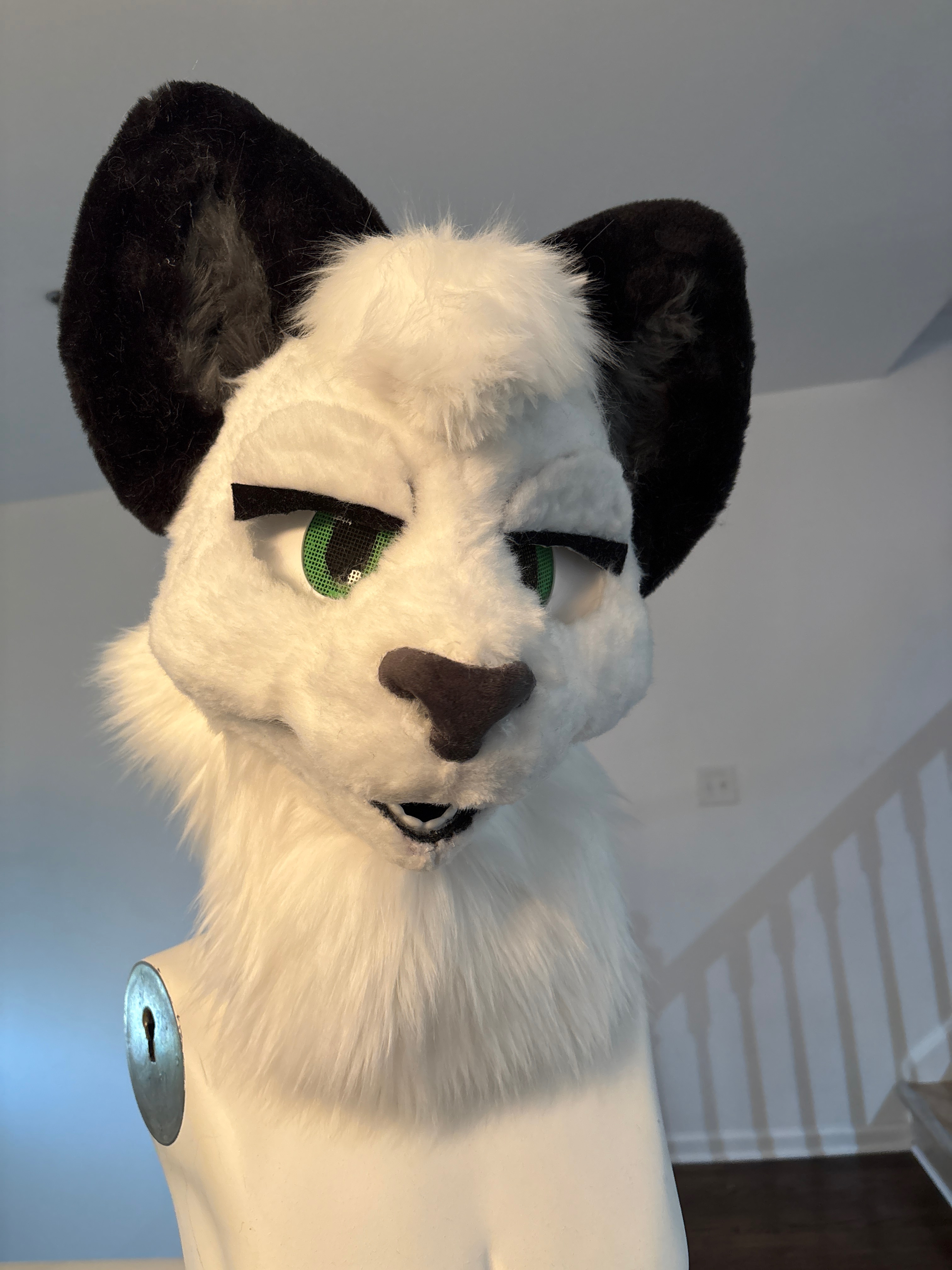 camphoto 1251336619(1)