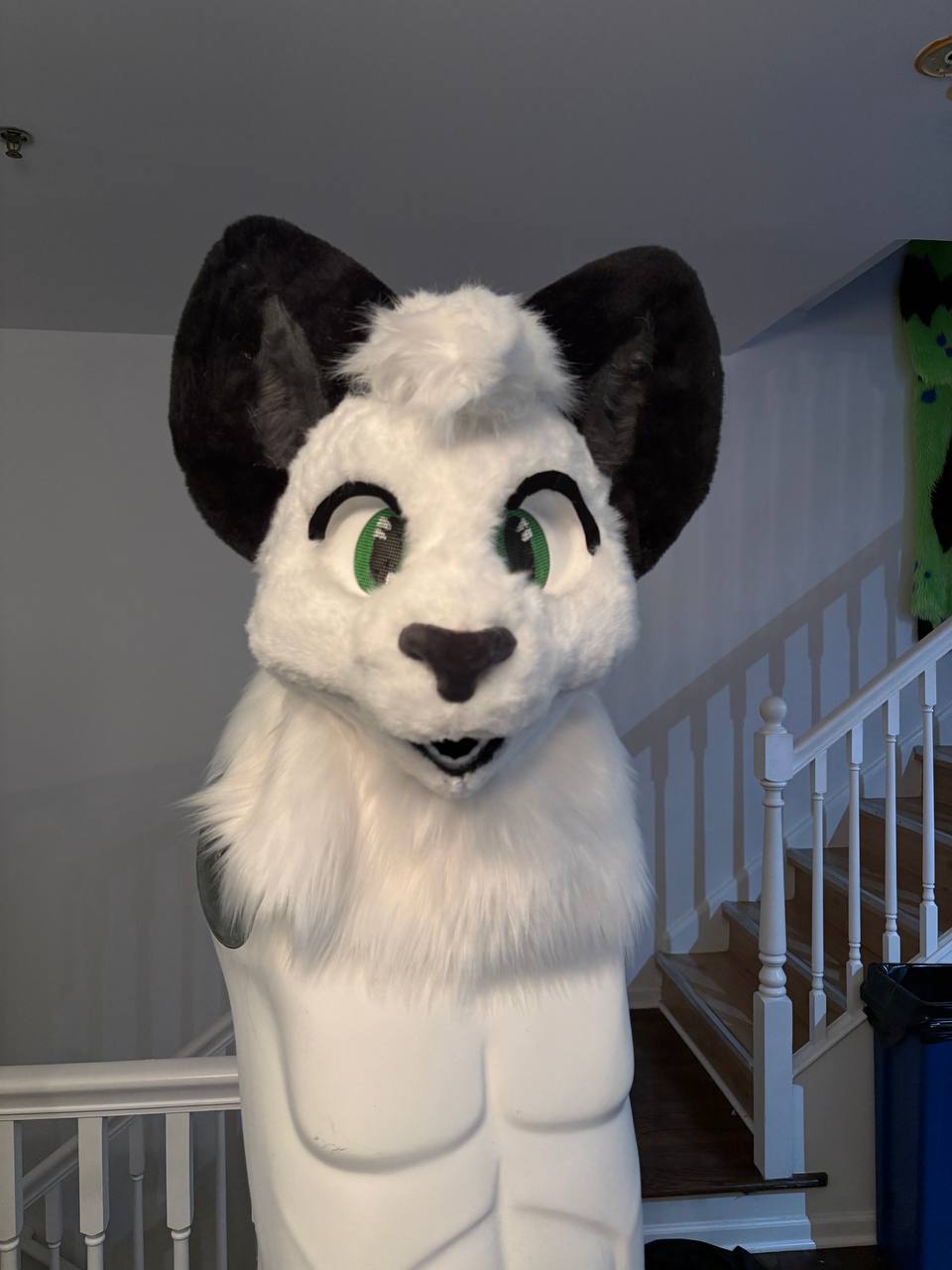 photo 2025 11 22 23 56 31 (2)