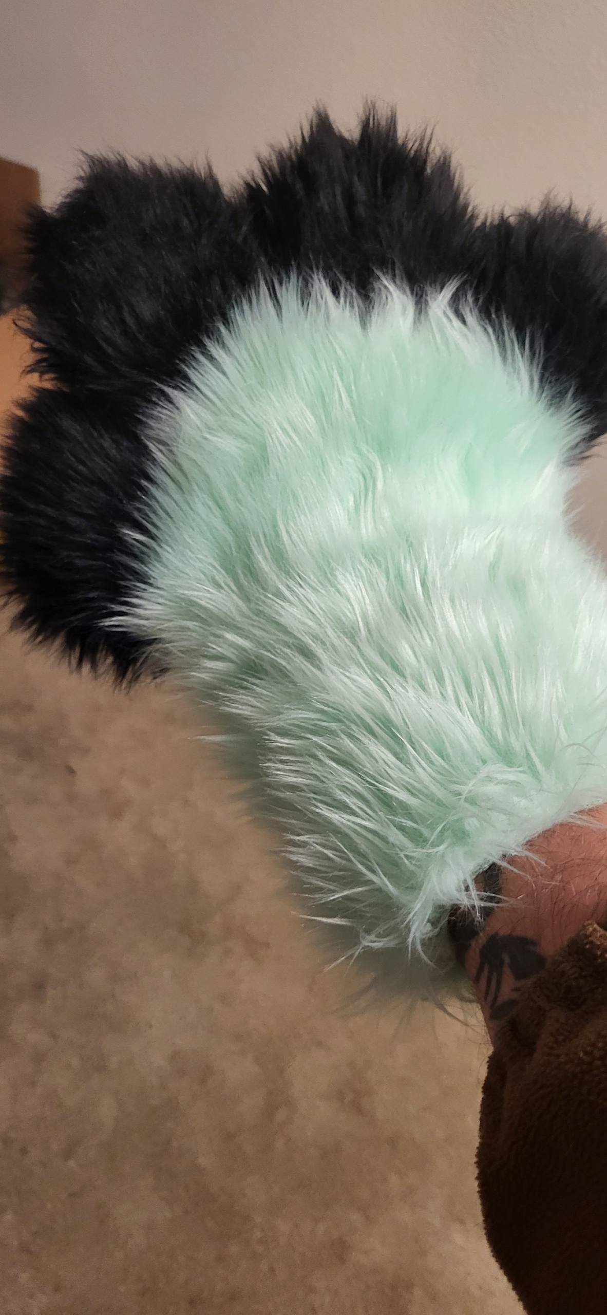 photo 2 2026 02 23 04 06 06