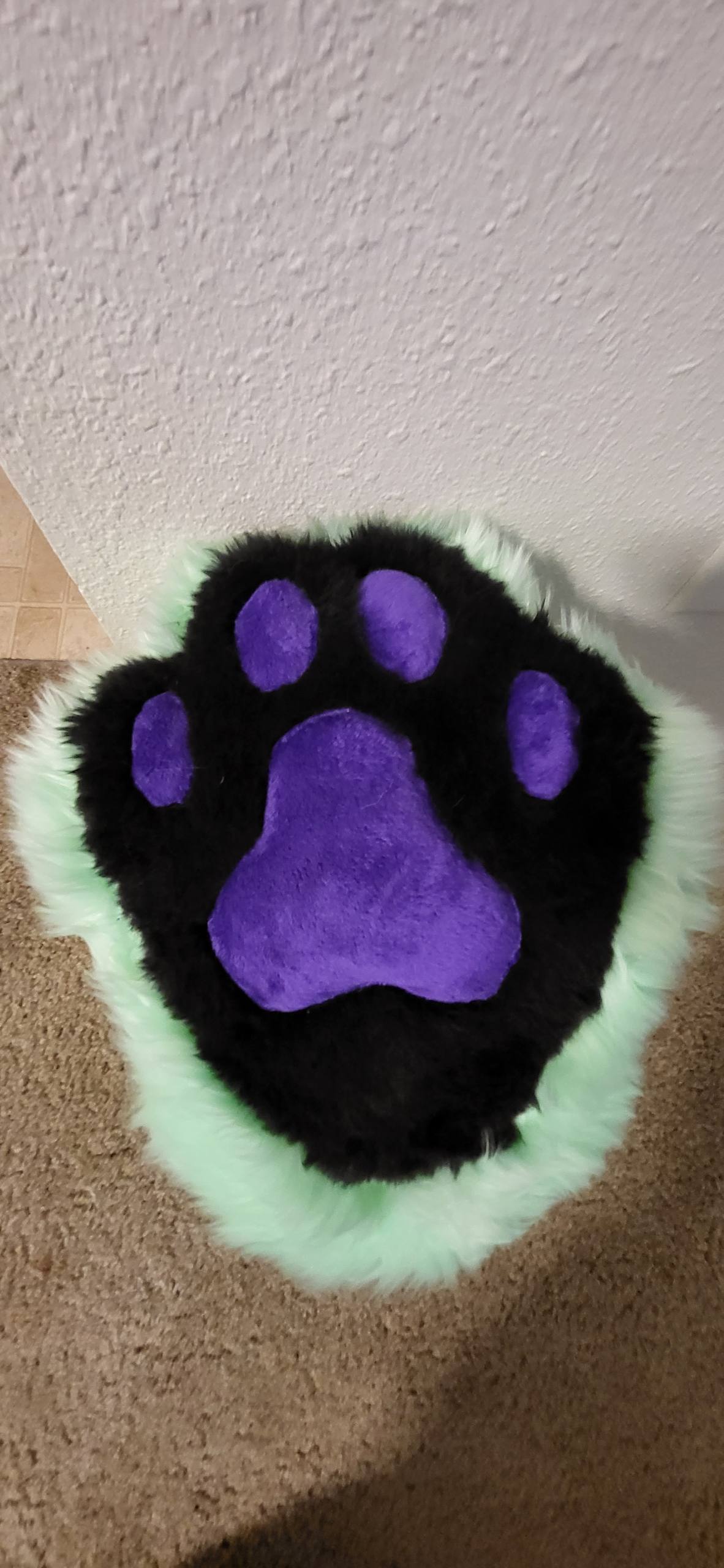 photo 3 2026 02 23 04 06 06