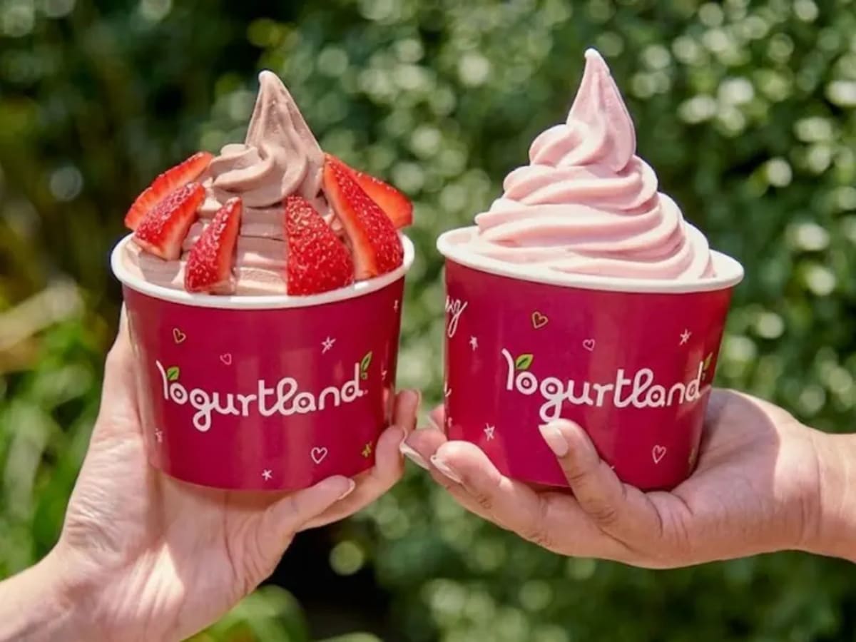 Birthday Reward: Up to $5 Off Froyo
