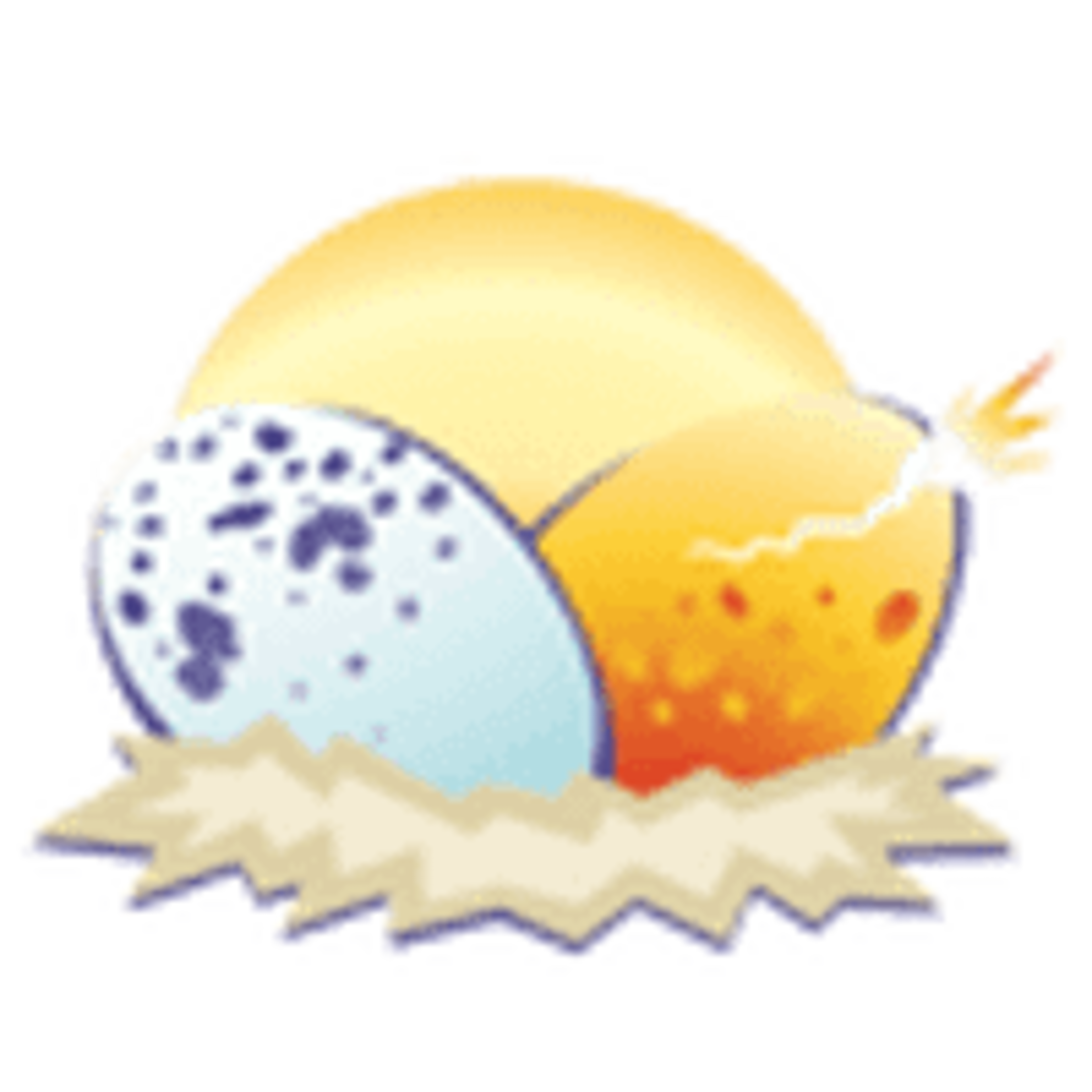 Wild Eggs