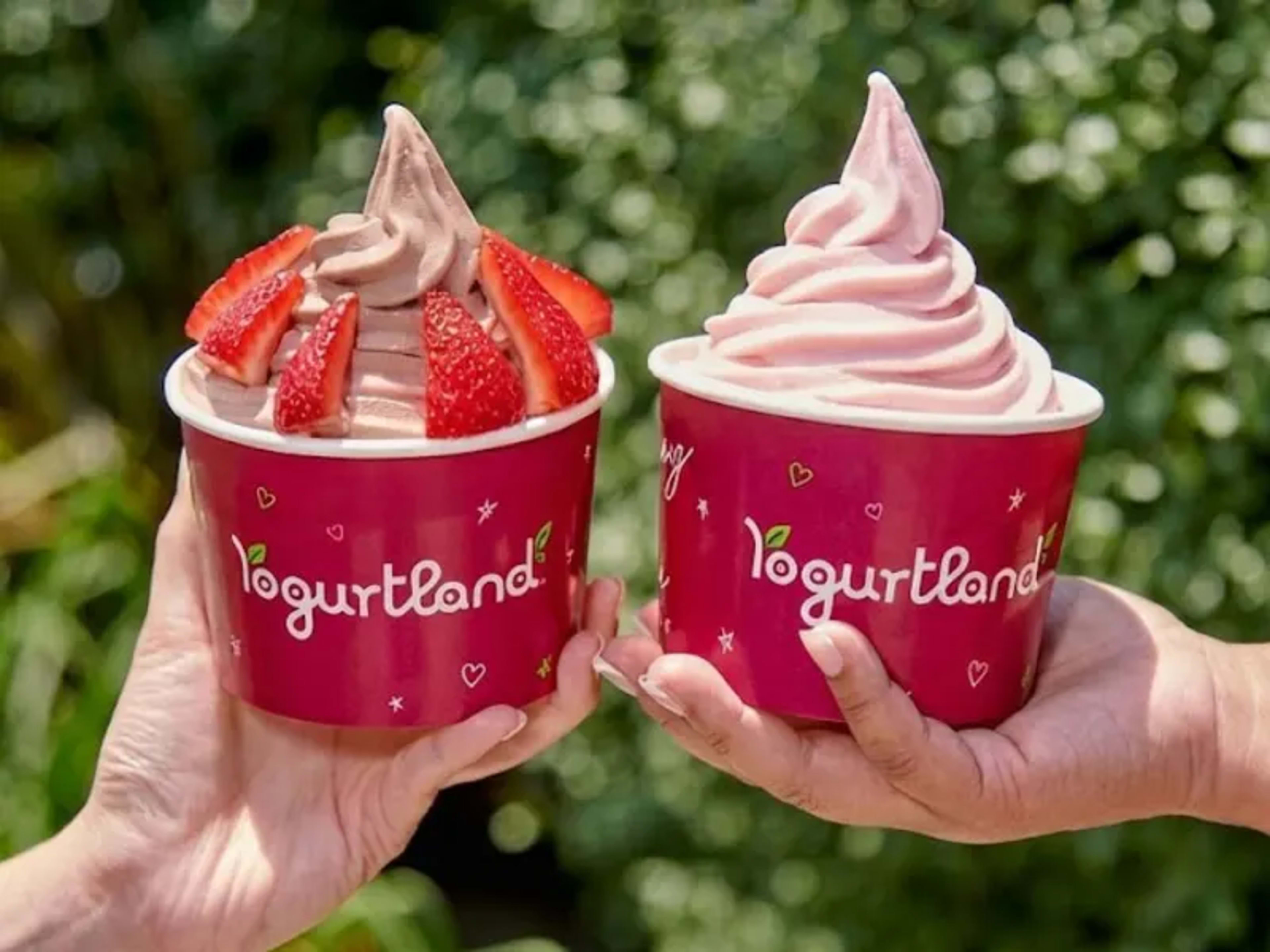 Birthday Reward: Up to $5 Off Froyo